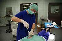 Entnahme von Knochenmark aus der Hüfte