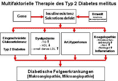 Multifaktorielle Therapie des Diabetes mellitus Typ 2