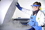 Blutproben in Tanks mit flüssigem Stickstoff