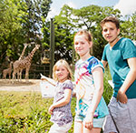 Die Fine Stars 2015 Die Fine Stars 2015