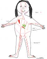 So stellt sich ein sechsjähriges Mädchen das Verdauungssystem vor.