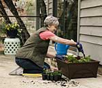 Typ-2-Diabetikerin mit FreeStyle Libre pflanzt Blumen. Typ-2-Diabetikerin mit FreeStyle Libre pflanzt Blumen.