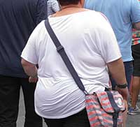 Was bestimmt, ob wir fettleibig werden und vielleicht dadurch an Herz-Kreislauf-Erkrankungen, Diabetes und Krebs erkranken?