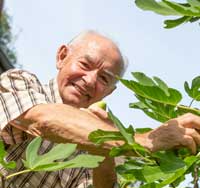 Diabetiker und Hobbygärtner Franz M.