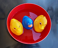 Ist Plastik für Übergewicht, Diabetes und Entwicklungsstörungen bei Kindern verantwortlich?