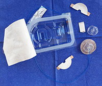 DDG Vizepräsidentin Professor Dr. Julia Szendrödi aus Heidelberg