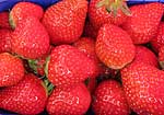 Erdbeeren
