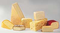 Käse - unterschiedliche Sorten
